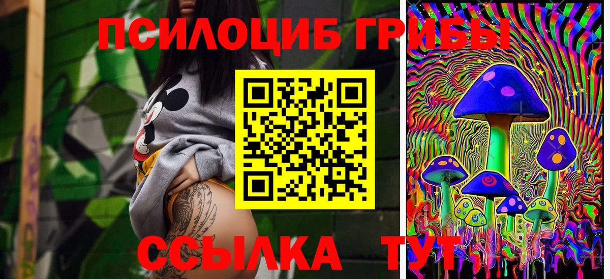 Лысьва  Галлюциногенные грибы Psilocybine cubensis  Вход с VPN 